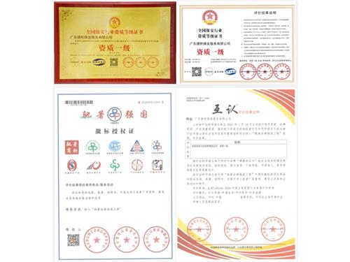 公司荣誉